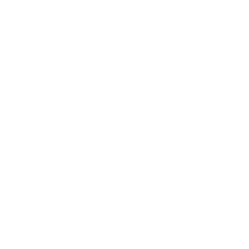 Zwei-Rad Gutachten