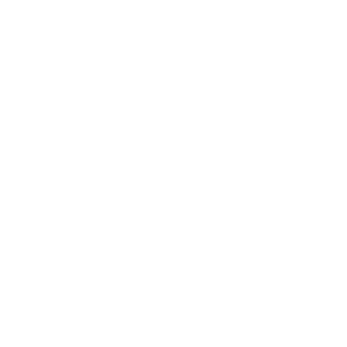 Wohnmobil-Gutachten